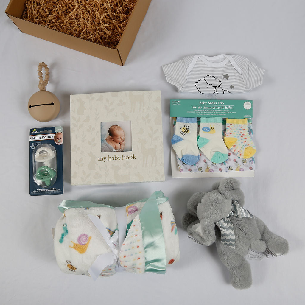 Love Bug Baby Gift Box