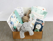 Love Bug Baby Gift Box